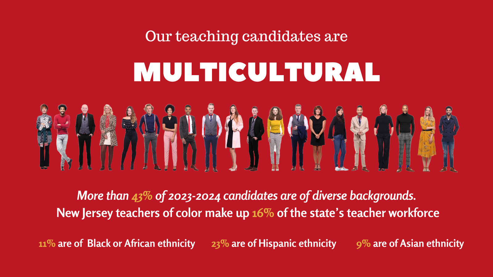 Line of multicultural individuals to showcase the data points