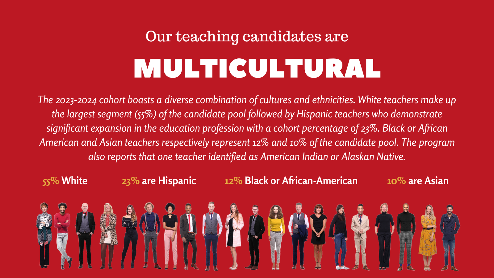 Line of diverse professionals