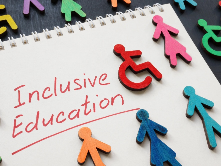 inclusion