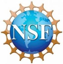 NSF