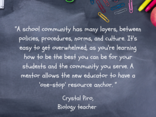 Quote from teacher featured in the blog