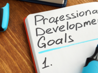 Image of a list that says "professional development goals"