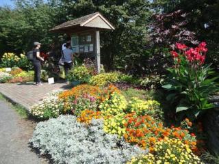 People strolling through Rutgers Gardens